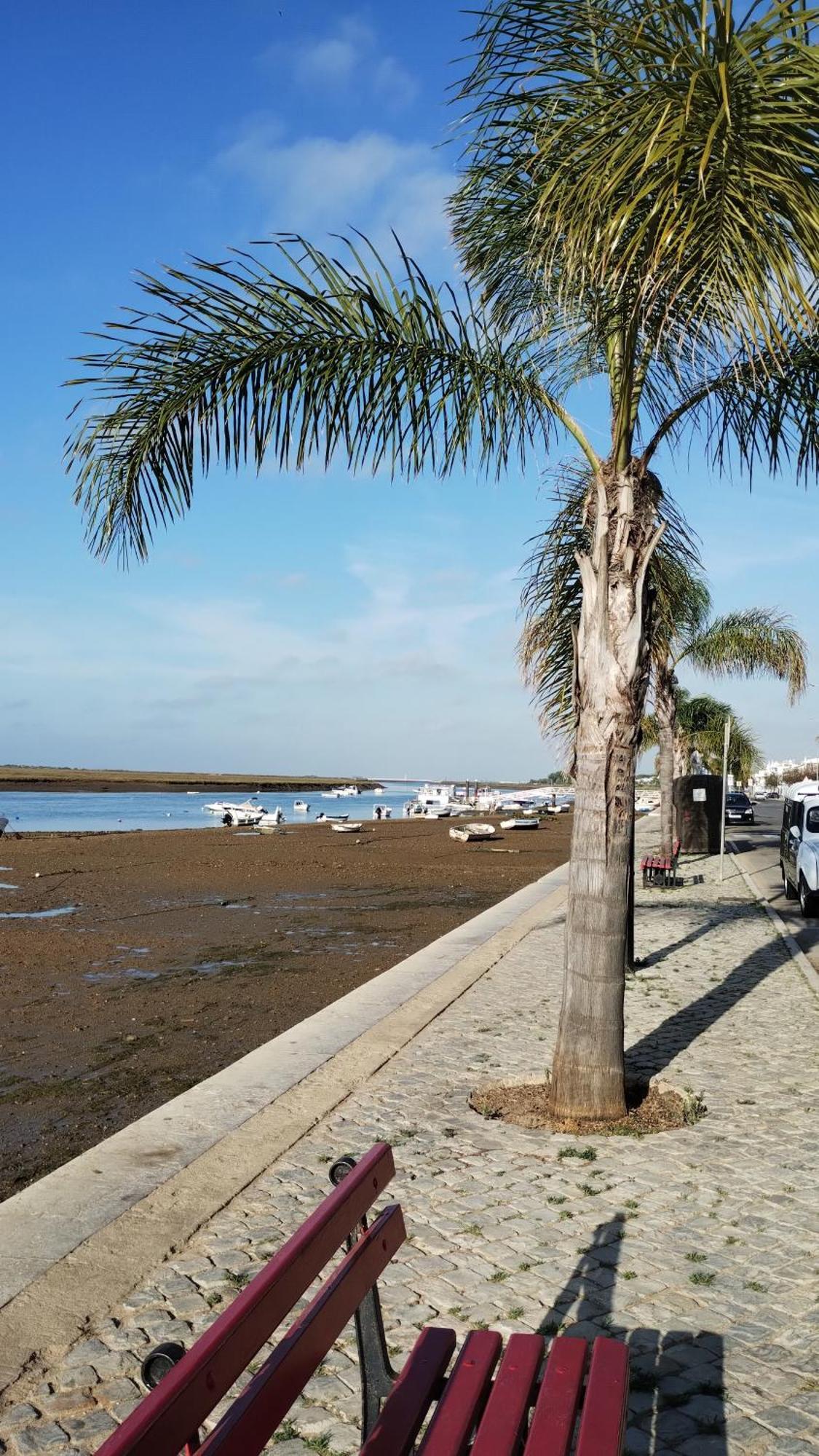 Casinha Secreta - A Gema Escondida Da Santa Luzia Apartment Santa Luzia  Exterior foto